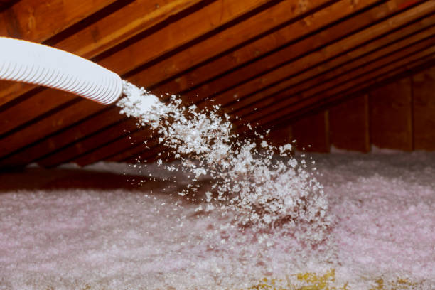 Best Cellulose Insulation in Evanston, WY
